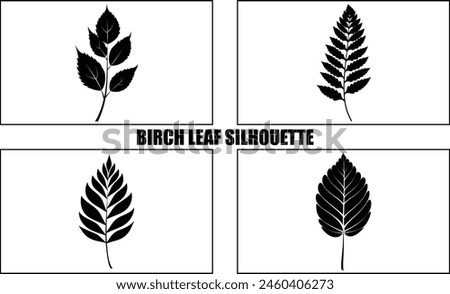 Birch leaf silhouette melting in drops Set, silhouettes of Birch leaf black Clipart Collection
