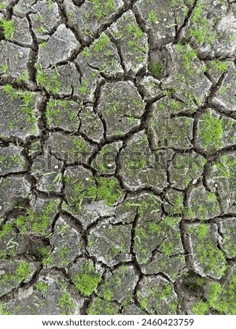 ground cracks due to the dry season