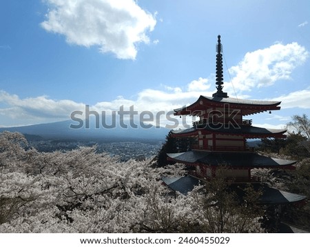 Chureito Pagoda Shinto shrine in Japan is famous spot with spectacular views of Mt. Fuji  and cherry blossoms. 
 Royalty-Free Stock Photo #2460455029