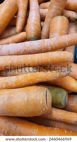 Close up pile of tasty fresh carrots sold at the market as a background.