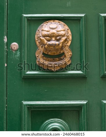 Close-up of a vintage lion head door knocker with intricate details on a vibrant green wooden door, symbolizing traditional home decor