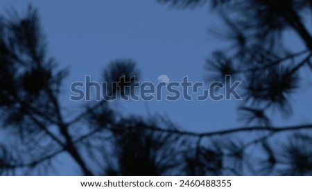Blues night moon background picture in the sky