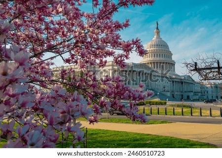 Capitol democracy in USA Washington DC, Capitol building USA. Supreme Court, Washington monument. USA Congress. Capitol is symbolic of USA. Spring in Washington D C.