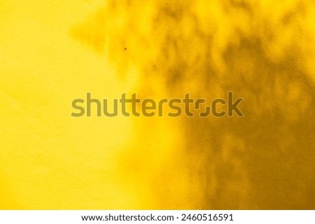 A yellow wall with a shadow texture background