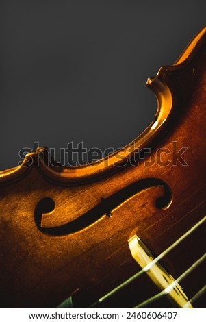 Close up photo of violin instrument