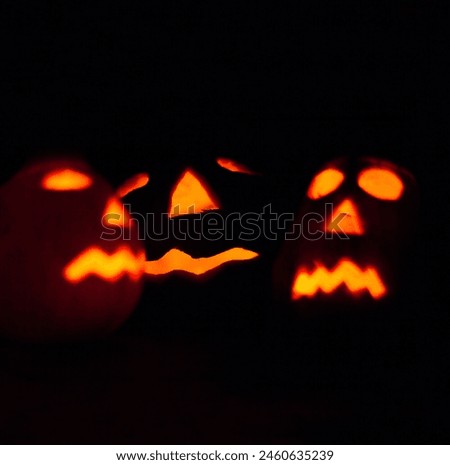 Jack-o-lanterns in the darkness. The symbol of Halloween.