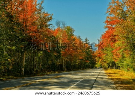 A road among a colorful autumn forest leading to the mountains on a sunny warm autumn day. Traveling around the USA. Royalty-Free Stock Photo #2460675625