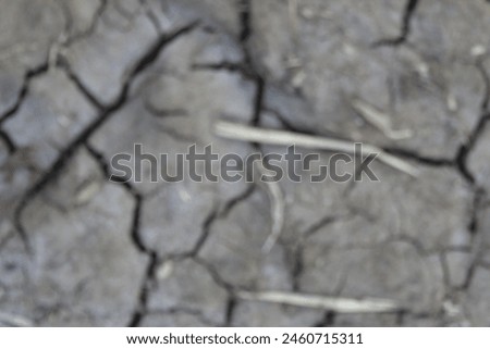 Stock Photo Blur A land that is barren and arid so that it breaks apart due to the long dry season