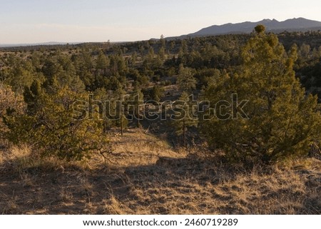 A scenic sunset view of the Jemez Mountains from Bandelier National Monument in New Mexico. Royalty-Free Stock Photo #2460719289
