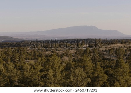 A scenic sunset view of the Jemez Mountains from Bandelier National Monument in New Mexico. Royalty-Free Stock Photo #2460719291