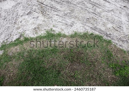 Extreme close up full frame photo view of a detail of a textured texture wallpaper made of 2 sides with a green grass garden and a sandy sand beach in a curved cuve way to view from above in day light