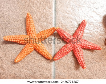 two toy starfish colored orange and red