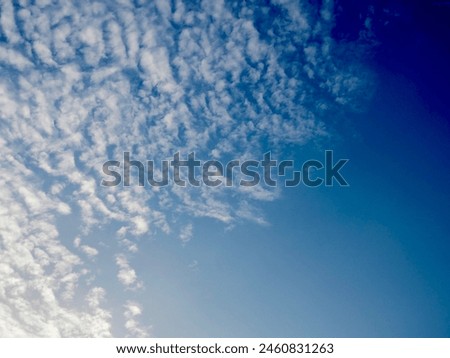 White clouds float in the morning sky at my house. It is a very special and beautiful picture of nature.