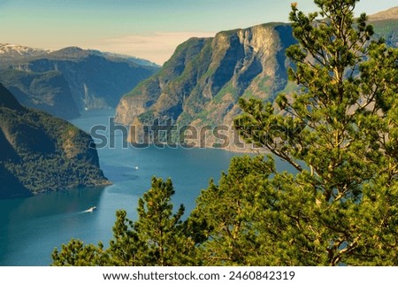 Aurlandsfjord fjord landscape, Norway Scandinavia. National tourist route Aurlandsfjellet Royalty-Free Stock Photo #2460842319