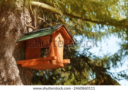  Birdhouse on a pine  tree