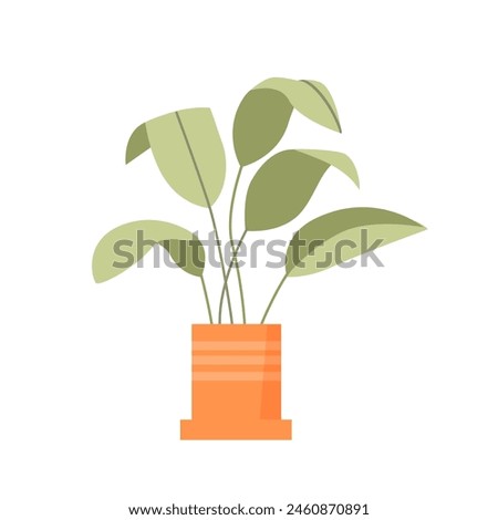 Banana tree leaves in flower pot, tropical exotic foliage for indoor decoration, balcony garden vector illustration
