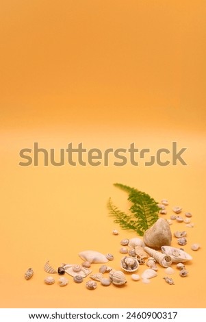 Vertical background abstract. Close-up of seashells, rocks, and ferns leaves a refreshing tropical beach vibe on an orange background for showcase, display, and presentation of products and goods