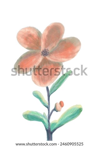Flower with beauty petals illustration