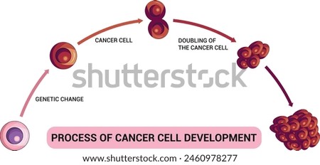 Process of Cancer Cell Development Science Diagram vector illustration