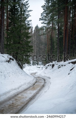 Winter road covered in snow, vertical picture