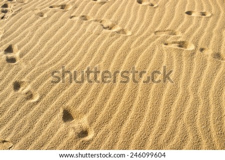Full frame take of many footprints on golden sand