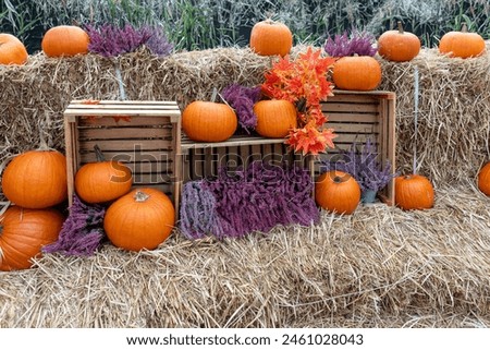 Experience the cozy essence of autumn with a charming still life showcasing pumpkins and gourds on a hay bale under the warm autumn sun, perfect for Thanksgiving and Halloween decor. Royalty-Free Stock Photo #2461028043