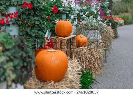 Embrace autumn with this charming scene of pumpkins on hay bales against a floral backdrop. Ideal for Thanksgiving, Halloween, or fall projects, this image captures the essence of the season.