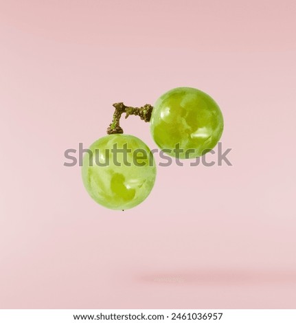 Fresh green grape falling in the air isolated on pink background. High resolution image.
