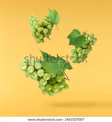 Fresh green grape falling in the air isolated on yellow background. High resolution image.