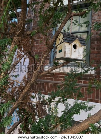 Bird House in the Tree