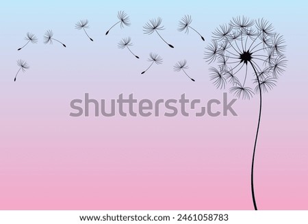 Abstract background of a dandelion for design. The wind blows the seeds of a dandelion.  Vector illustration
