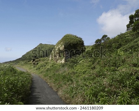 road from savane a mulets to col de l' echelle near grande souf-friere volcano, guadeloupe Royalty-Free Stock Photo #2461180209