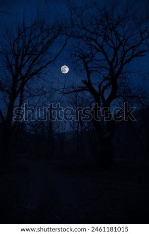 Mountain Road through the forest on a full moon night. Scenic night landscape of country road at night with large moon. Azerbaijan nature