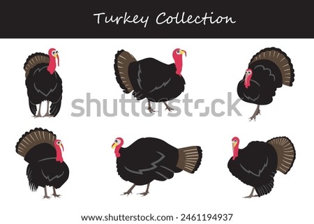 Turkey collection. Turkey in different poses. Vector illustration.