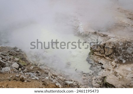 Norris Geyser Basin at Yellowstone National Park, USA Royalty-Free Stock Photo #2461195473