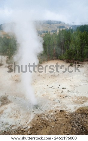 Norris Geyser Basin at Yellowstone National Park, USA Royalty-Free Stock Photo #2461196003