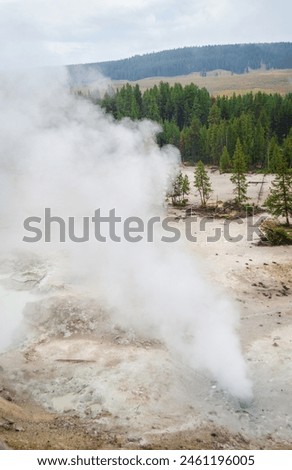 Norris Geyser Basin at Yellowstone National Park, USA Royalty-Free Stock Photo #2461196005