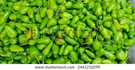 Green Chilli it is use for good health,Green chilli benefits,Green Chilli Pic,Fresh chilli,Chilli use for making sauce.