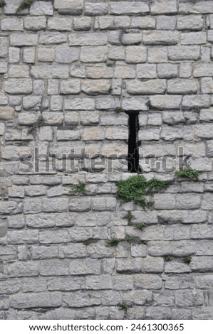 Background with old stonework with a small window. Small sprouts in the cracks between the stones. A wall made of tightly fitted stone blocks with a loophole. Royalty-Free Stock Photo #2461300365
