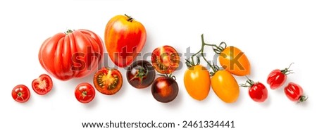 group of tomatoes, different varieties of various sizes, shapes and colors, arranged as a header, footer, or banner element, isolated over a white  background, food, cooking or gardening element