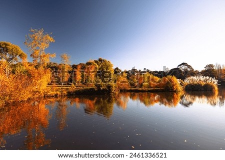 DAYLESFORD, AUSTRALIA - MAY 12 2024: Landscape around Lake Daylesford in a cool late autumn afternoon in Daylesford, Victoria, Australia Royalty-Free Stock Photo #2461336521