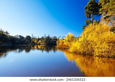 DAYLESFORD, AUSTRALIA - MAY 12 2024: Landscape around Lake Daylesford in a cool late autumn afternoon in Daylesford, Victoria, Australia Royalty-Free Stock Photo #2461336523