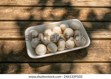 A tray with fresh mushrooms, ready to cook, seen in the shade of tree leaves on a sunny day over a rustic wooden plank surface Royalty-Free Stock Photo #2461339103