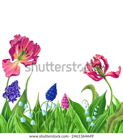 A horizontal border of spring flowers. Tulips, hyacinths, muscari, bright juicy green leaves. Decoration of the bottom part