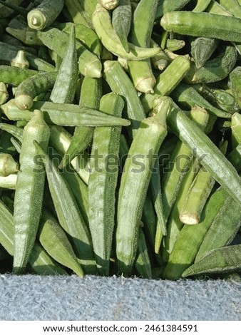 lady finger pile displayed in order on vendor's.okra pile show for sale in the market.Abelmoschus esculentus pattern background