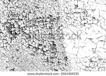 Great detailed photo of many cracks on a white background: a black and white shot of a large number of small cracks: a template for design