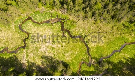 Aerial top view of country road in green summer forest and river. Drone photography from above.