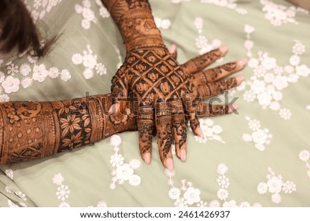 Hand of a Women in Henna or Mehndi Design in Wedding Ceremony Closeup