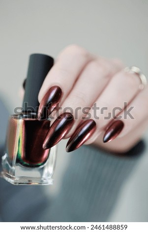 Female hands with long nails and brown and red nail polish