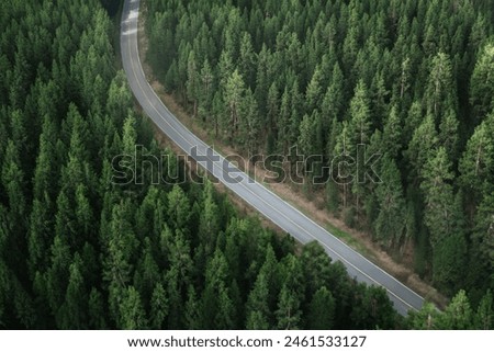 Aerial view of a winding road through a green forest. Drone photography.